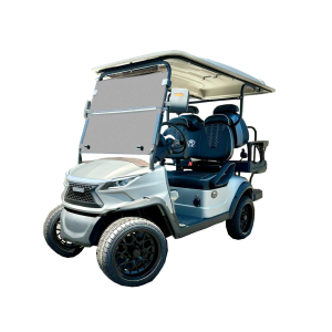 4-seater-strike-silver-nonlifted-2